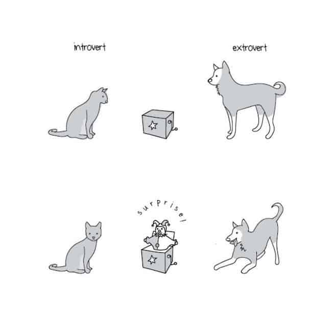 Introvert vs extrovert